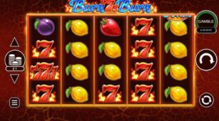 Burn 7S Burn demo play free 3