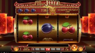 Free Reelin Joker demo play free 3
