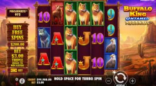 Buffalo King Untamed demo play free 3