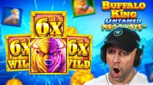 Buffalo King Untamed max win video 0