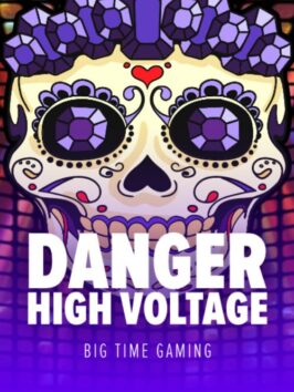 Danger High Voltage