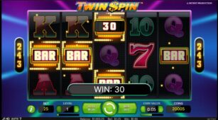Twin Spin demo play free 0
