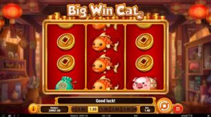 Big Win Cat demo play free 3