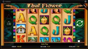 Thai Flower demo play free 2