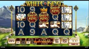 White King max win video 1