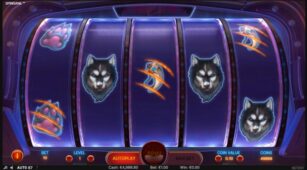 Spinsane demo play free 2