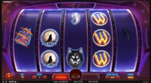 Spinsane demo play free 3