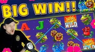 Flowers max win video 0