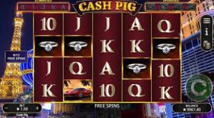 Cash Pig max win video 0