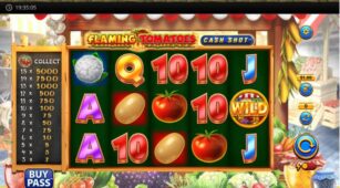 Flaming Tomatoes: Cash Shot demo play free 0