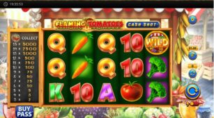 Flaming Tomatoes: Cash Shot demo play free 3