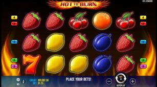 Hot To Burn demo play free 3