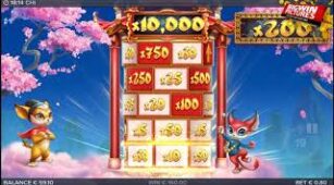 Chi max win video 0