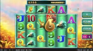 Raging Rhino Megaways max win video 0