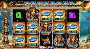 Fish Eye max win video 0