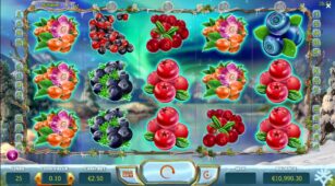 Winter Berries demo play free 3