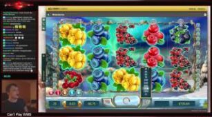 Winter Berries max win video 1