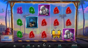 Top Dawgs demo play free 2