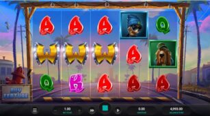 Top Dawgs demo play free 3