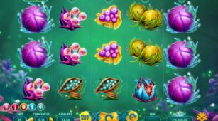 Fruitoids demo play free 0