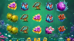 Fruitoids demo play free 3