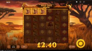 Wild Cats Multiline demo play free 1