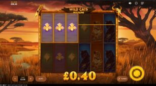 Wild Cats Multiline demo play free 3