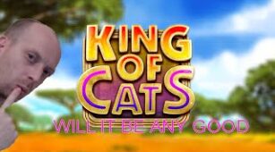King Of Cats max win video 1