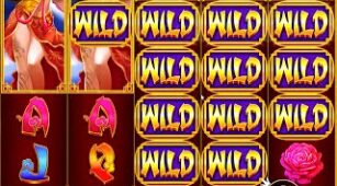 Golden Beauty max win video 0