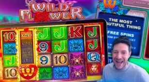 Wild Flower max win video 0