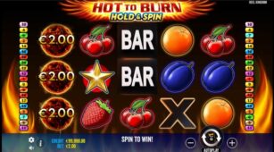 Hot To Burn Hold And Spin demo play free 1