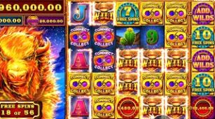 Fire Stampede max win video 0