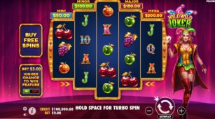 Wild Wild Joker demo play free 0