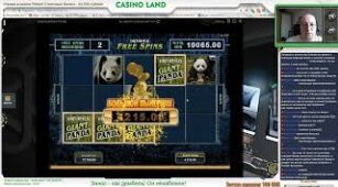 Untamed Giant Panda max win video 1