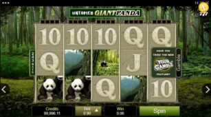 Untamed Giant Panda demo play free 2