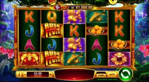 Shake Shake Money Tree demo play free 0