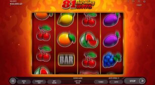 81 Burning Ways demo play free 3