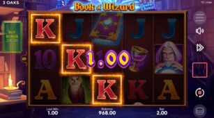 Book Of Wizard demo play free 3