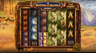 Buffalo Mania Megaways demo play free 0