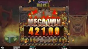Cat Clans 2 – Mad Cats max win video 2