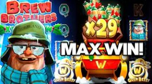 Brew Brothers: Xmas Brew max win video 0