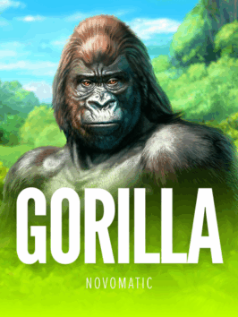Gorilla