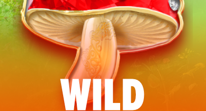 Wild Unicorns