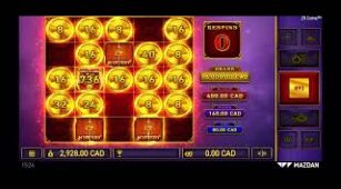 25 Coins max win video 0