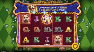 Diamond Doggies demo play free 1