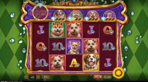 Diamond Doggies demo play free 2
