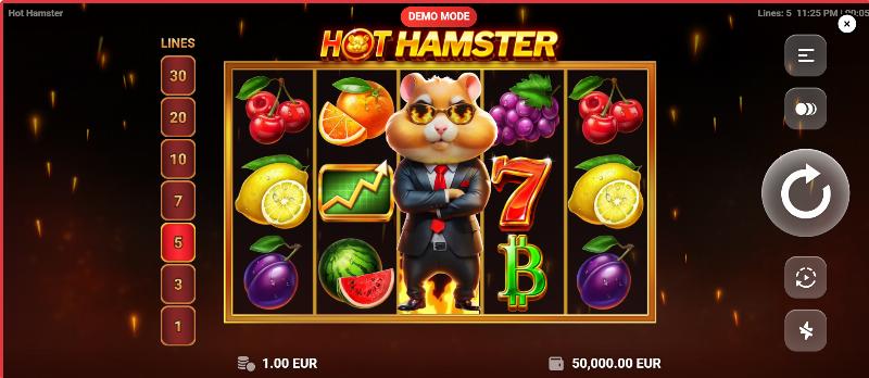 Hot Hamster