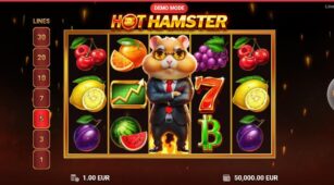 Hot Hamster demo play free 0