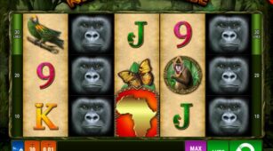 King Of The Jungle demo play free 1