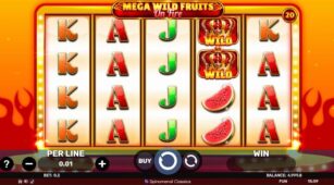 Mega Wild Fruits – On Fire demo play free 0
